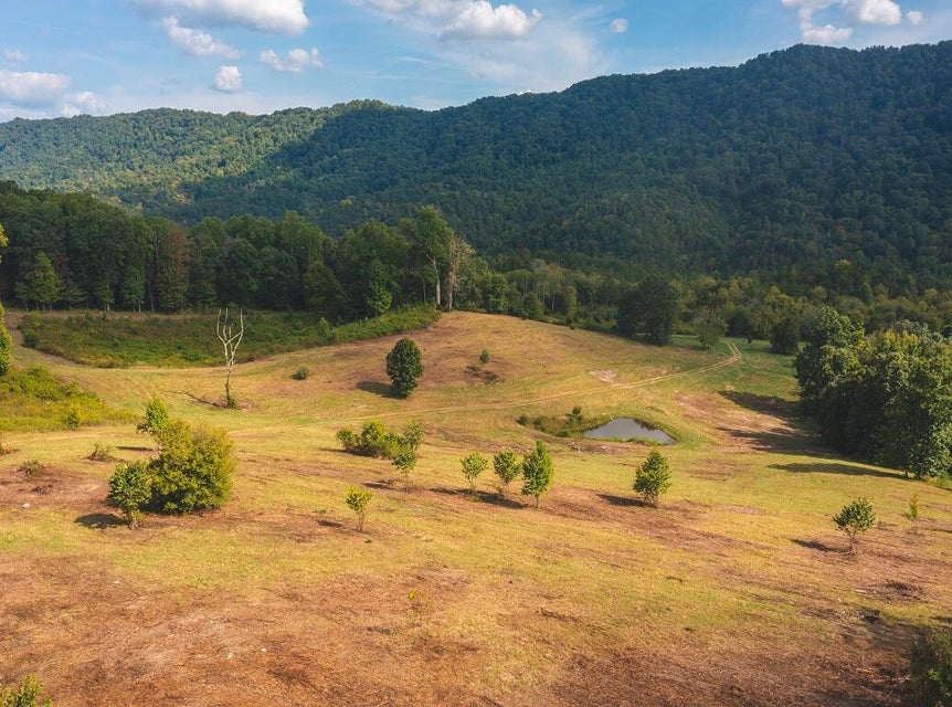 Photo #7: 200 Acres War Creek Road