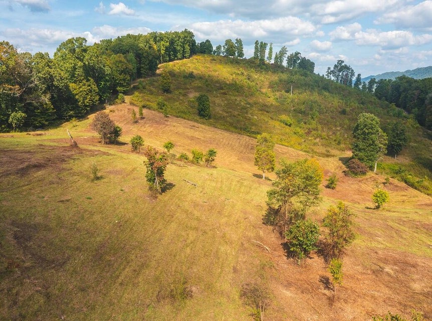 Photo #8: 200 Acres War Creek Road