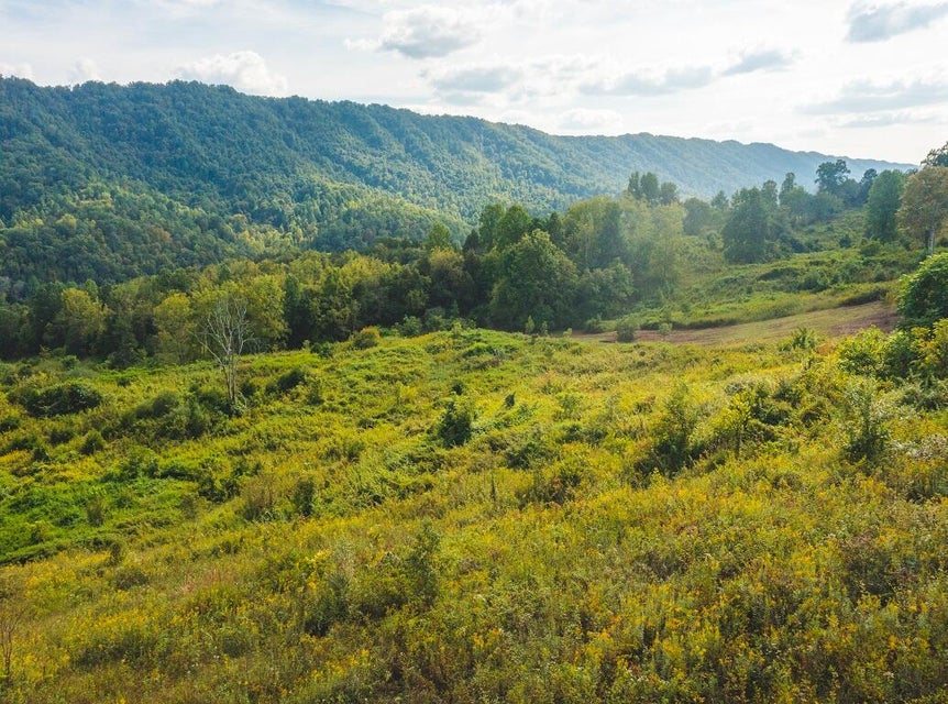 Photo #10: 200 Acres War Creek Road