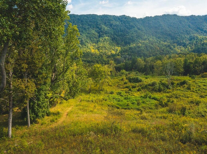 Photo #11: 200 Acres War Creek Road