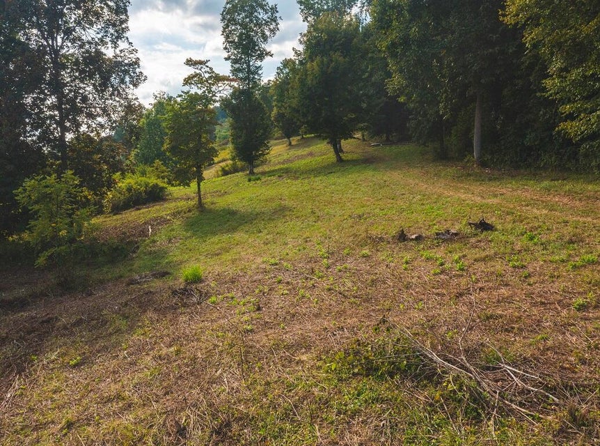Photo #13: 200 Acres War Creek Road