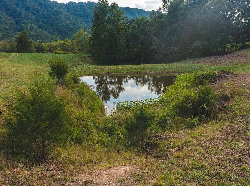 Photo #14: 200 Acres War Creek Road