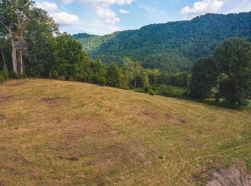 Photo #15: 200 Acres War Creek Road