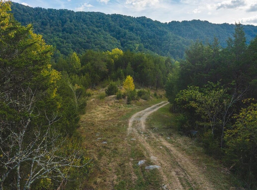 Photo #19: 200 Acres War Creek Road