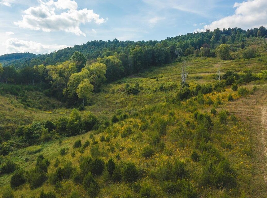 Photo #27: 200 Acres War Creek Road