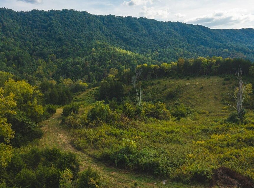 Photo #31: 200 Acres War Creek Road