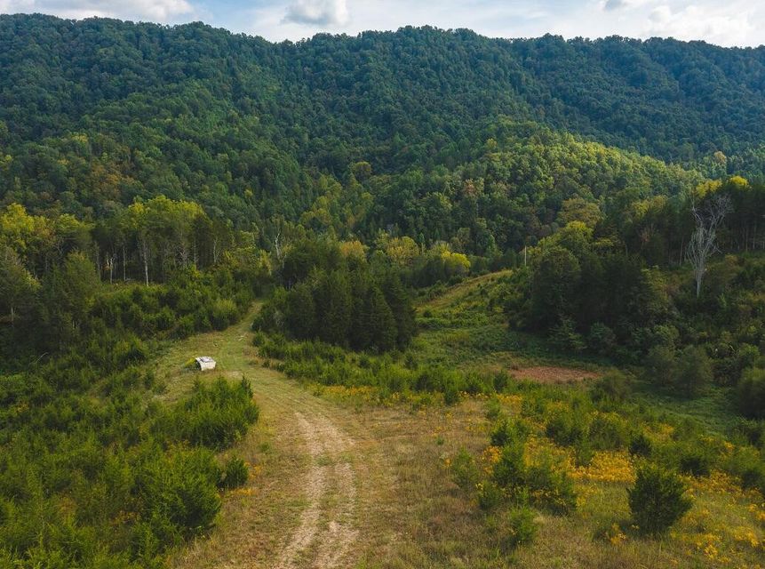 Photo #32: 200 Acres War Creek Road
