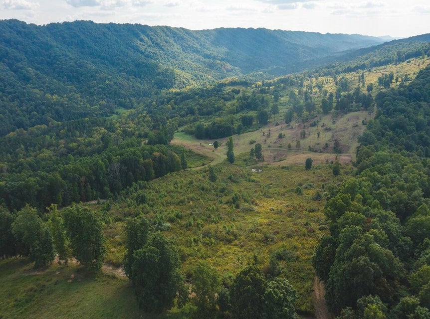 Photo #36: 200 Acres War Creek Road