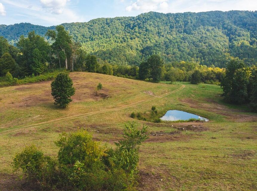 Photo #41: 200 Acres War Creek Road