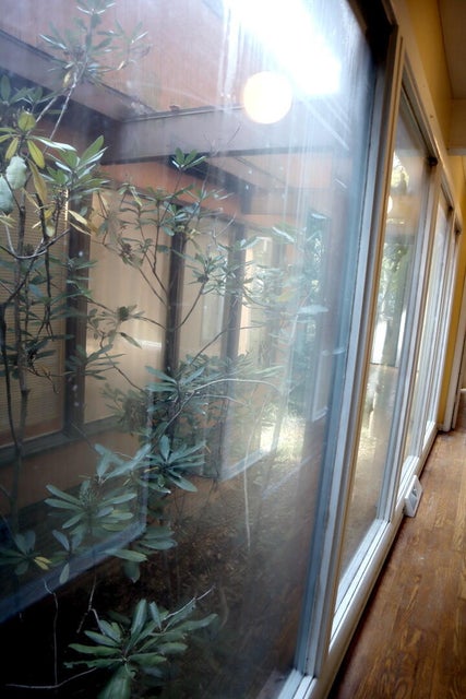 Photo #7: 1904 Eastwood Drive