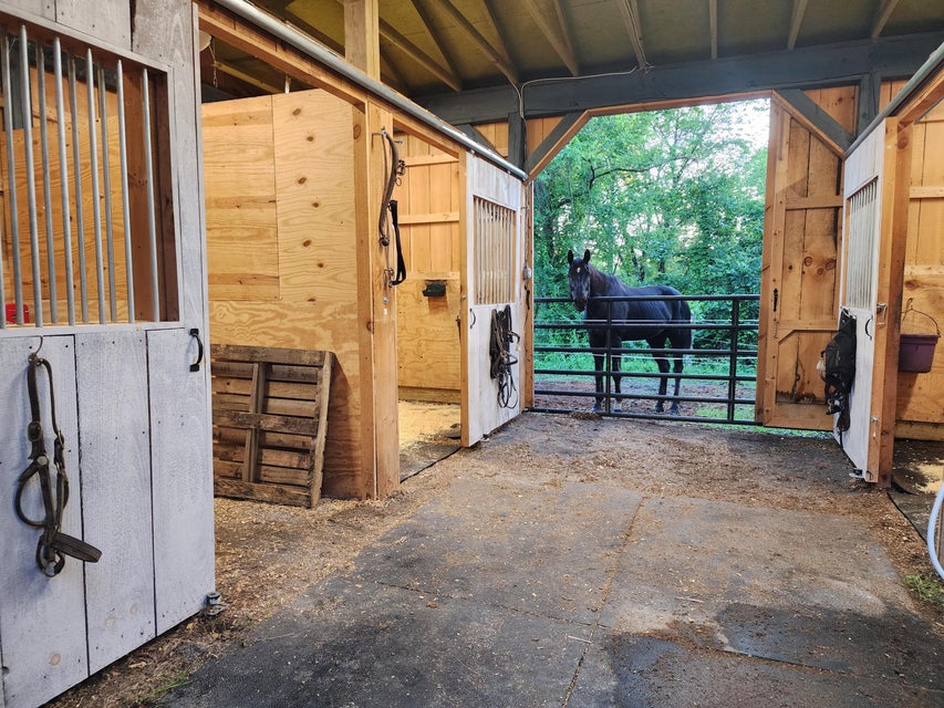 Photo #84: 24199 Redstone Drive