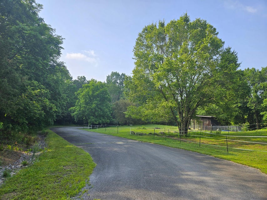 Photo #96: 24199 Redstone Drive
