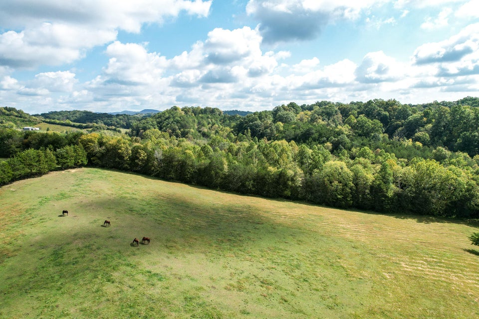 Photo #75: 1375 Union Road