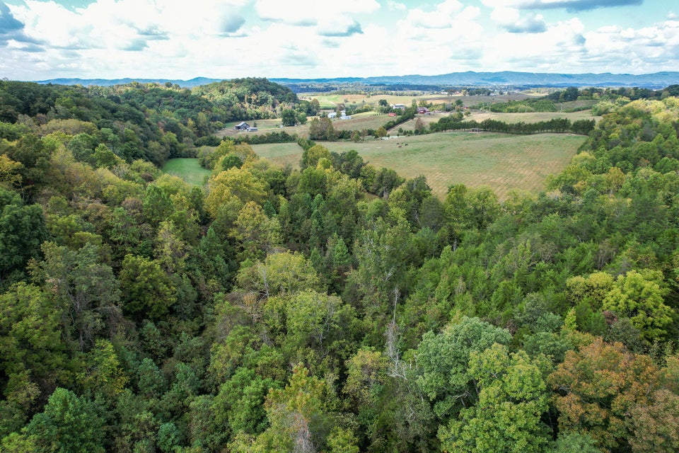 Photo #79: 1375 Union Road