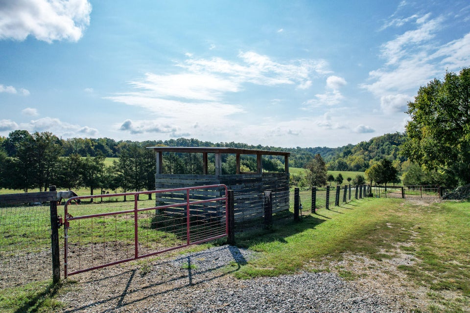 Photo #63: 1375 Union Road