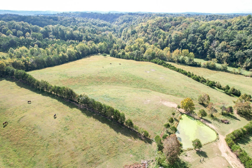 Photo #73: 1375 Union Road