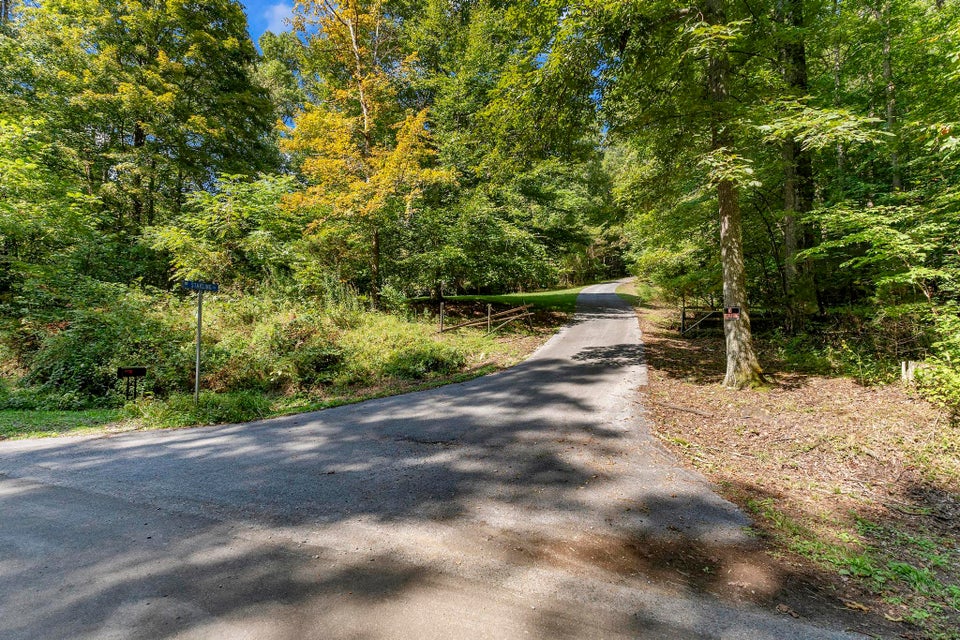 Photo #12: 232 Starling Drive