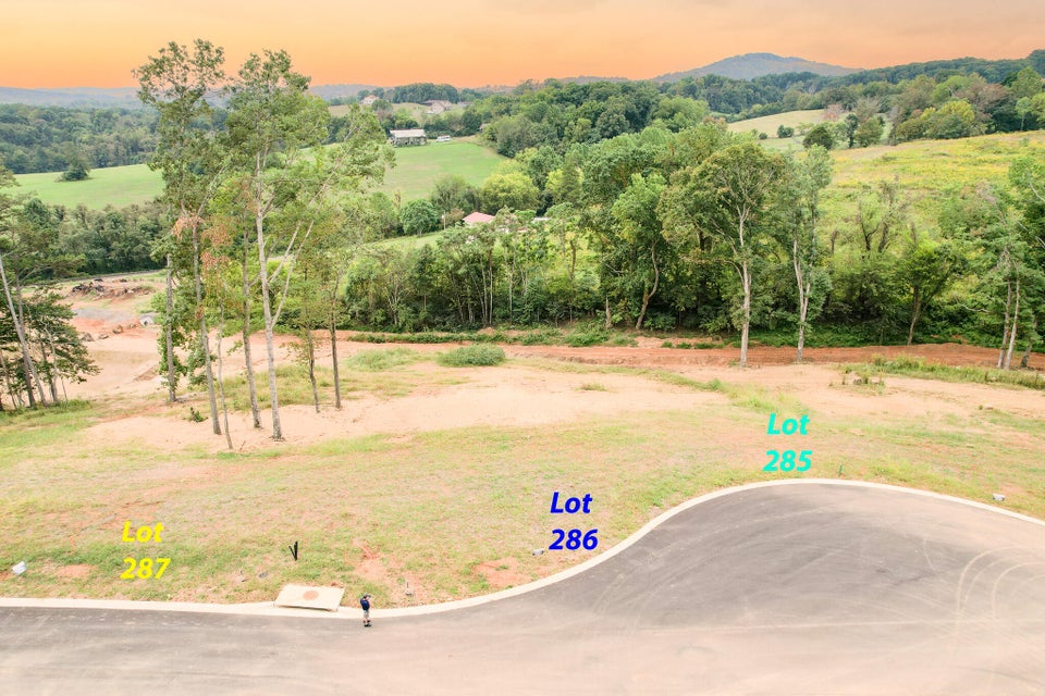 Photo #10: Lot 286 Inlet Cove