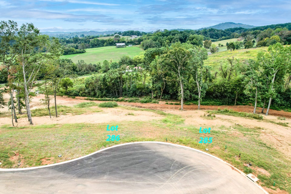 Photo #11: Lot 286 Inlet Cove