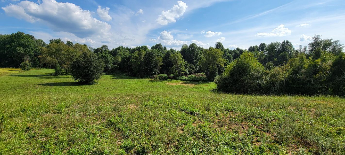 Photo #4: Tbd Old Boones Creek Road