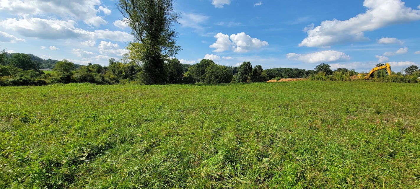 Photo #5: Tbd Old Boones Creek Road