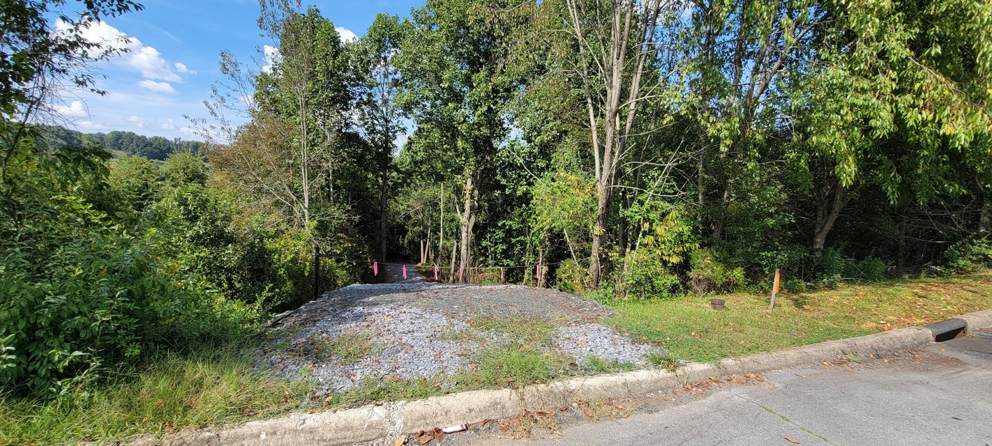 Photo #9: Tbd Old Boones Creek Road