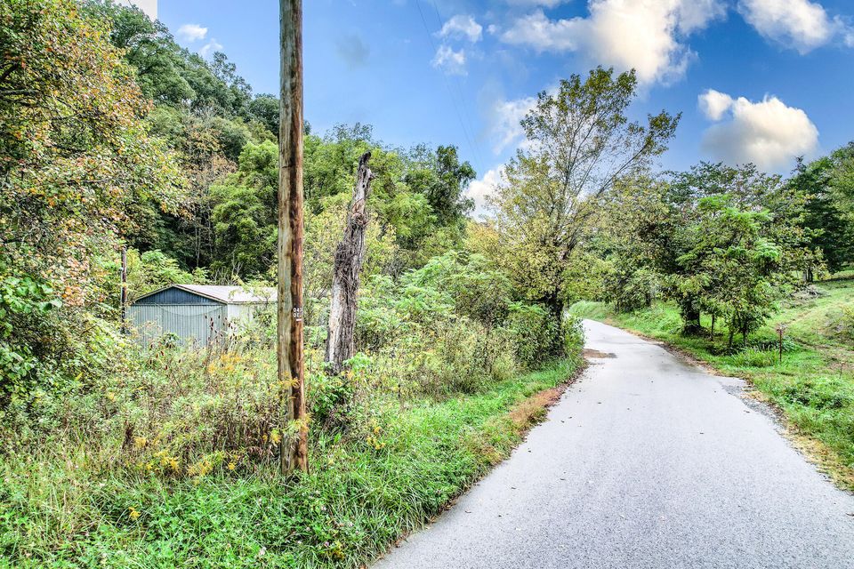 Photo #19: 485 Reynolds Hollow Rd