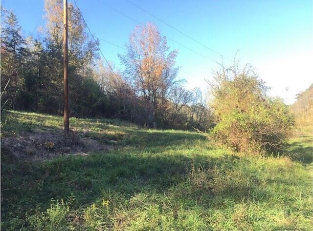 Photo #4: 2378 Hall Road