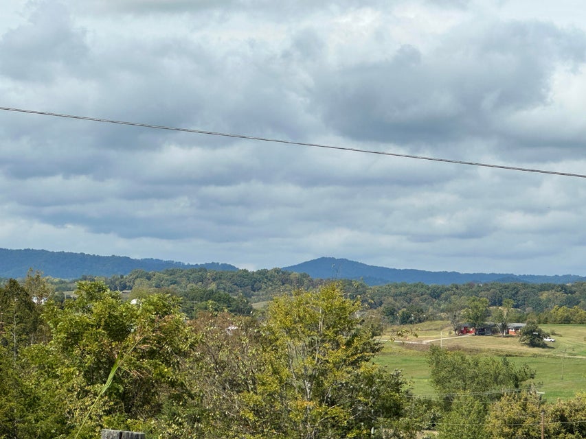 Photo #45: 1375 Union Road