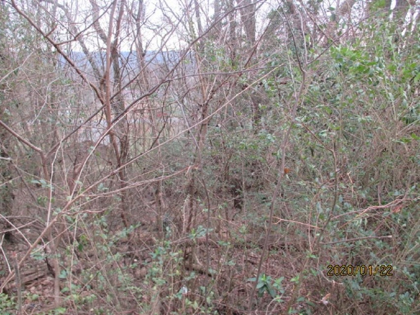 Photo #4: 0000 Howard Cemetery Road