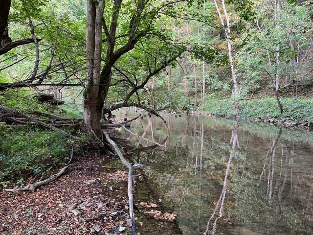 Photo #8: 00 Dean Hollow Rd.