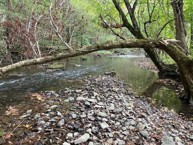 Photo #9: 00 Dean Hollow Rd.