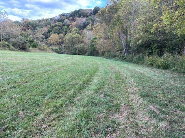 Photo #15: 00 Dean Hollow Rd.