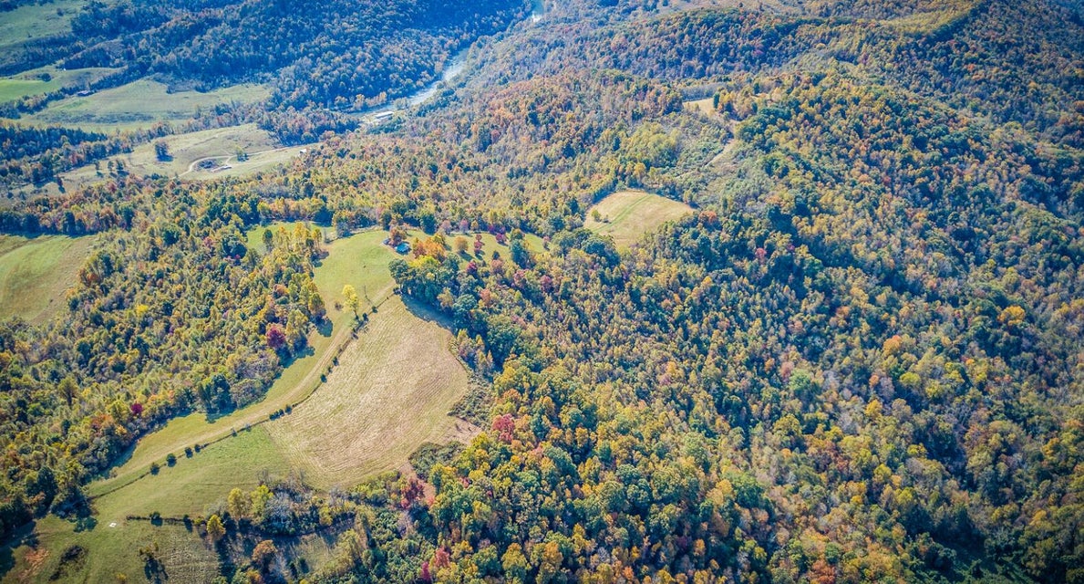 Photo #34: 687 Big Springs Road