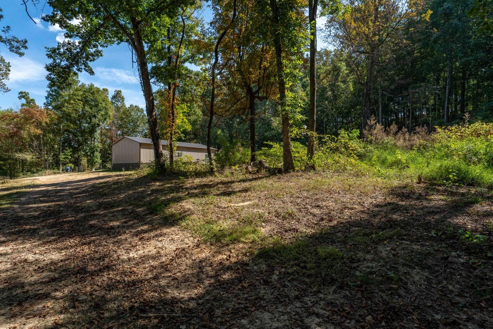Photo #53: 725 Hammond Avenue