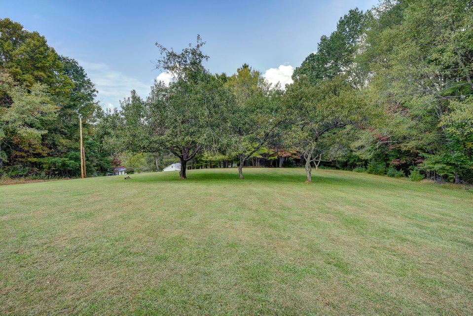 Photo #49: 503 Hillside Road