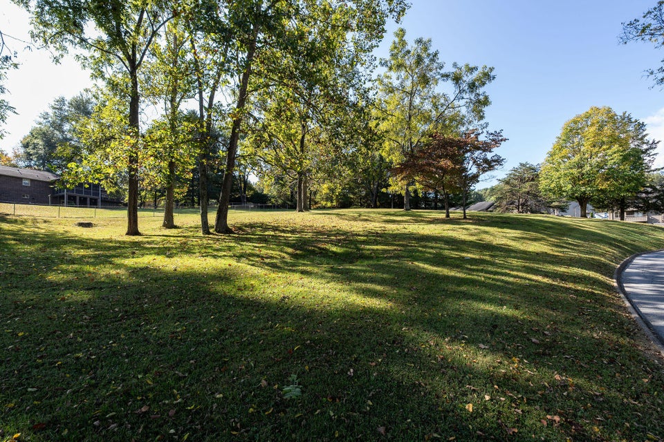 Photo #9: Tbd Springlake Road