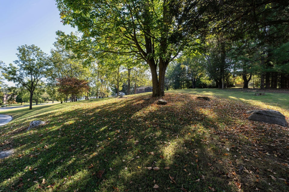 Photo #15: Tbd Springlake Road