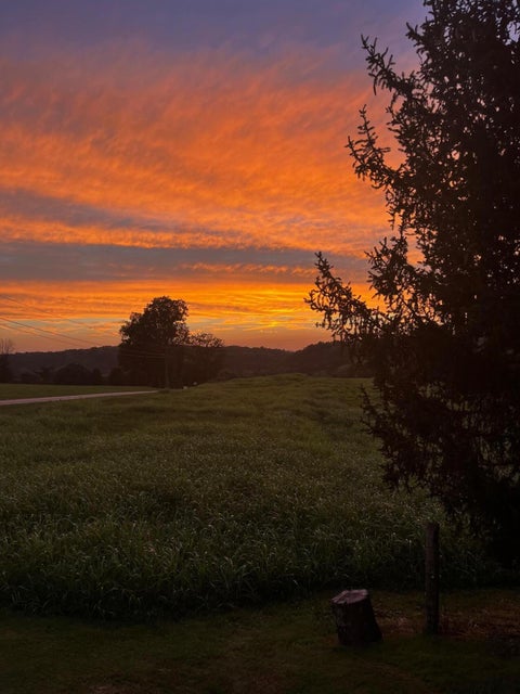 Photo #28: 7460 Warrensburg Road