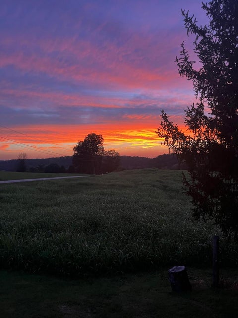 Photo #29: 7460 Warrensburg Road