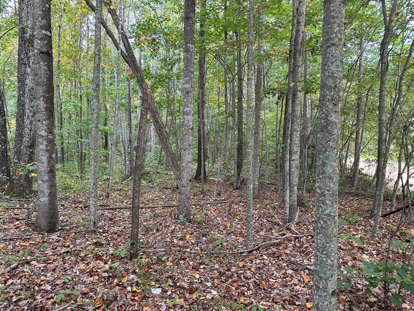 Photo #23: Tbd Critter Way
