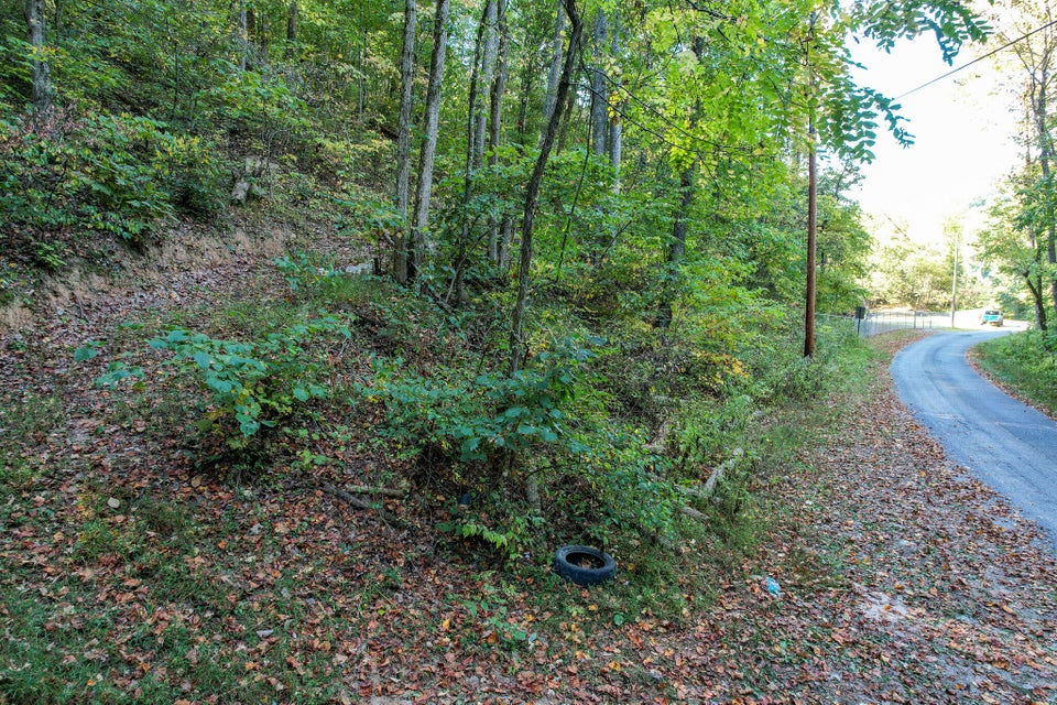 Photo #3: Lot 9 Stone Mtn. Road