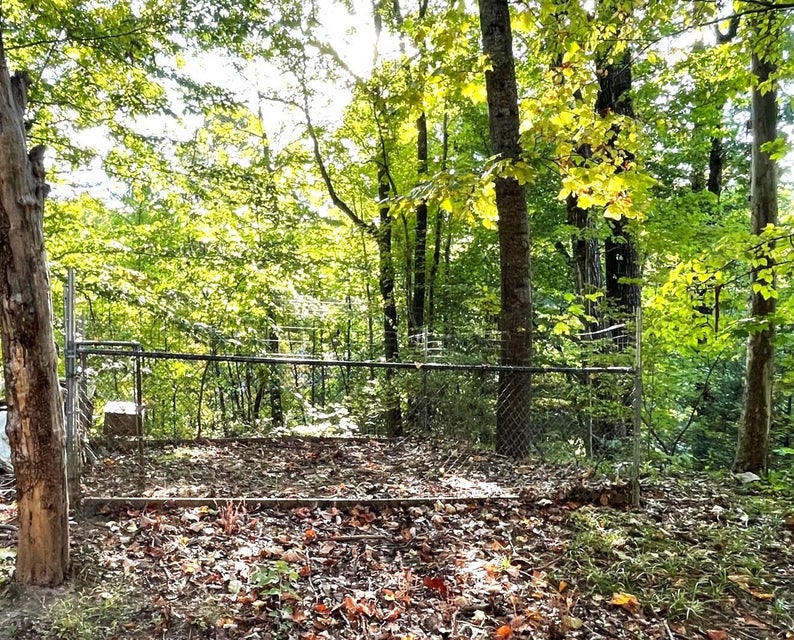 Photo #9: 157 Bear Hollow Road