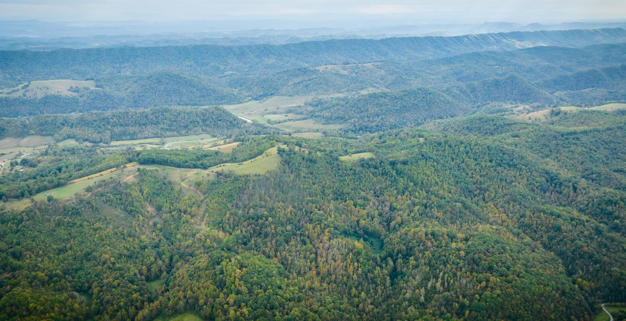 Photo #29: 687 Big Springs Road