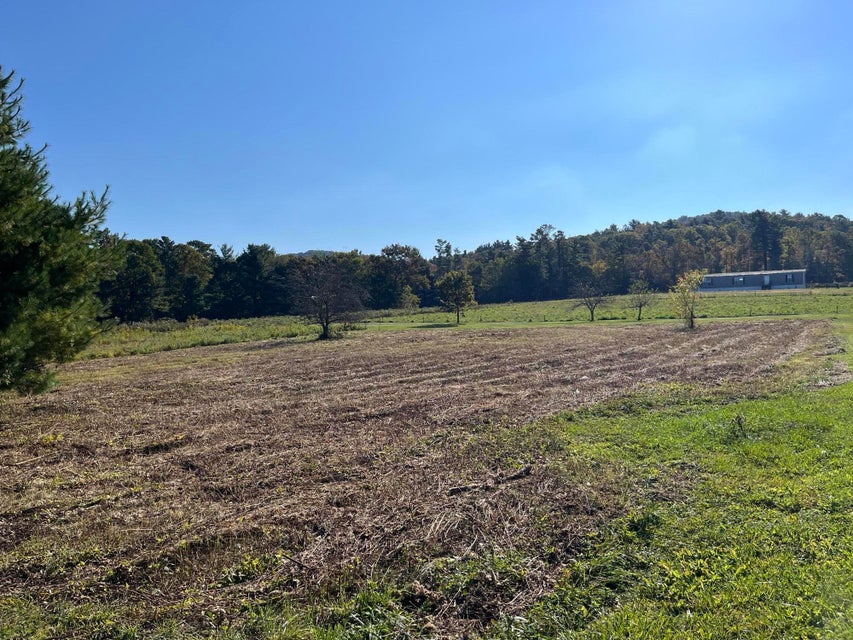Photo #2: 1838 Of Highway 133