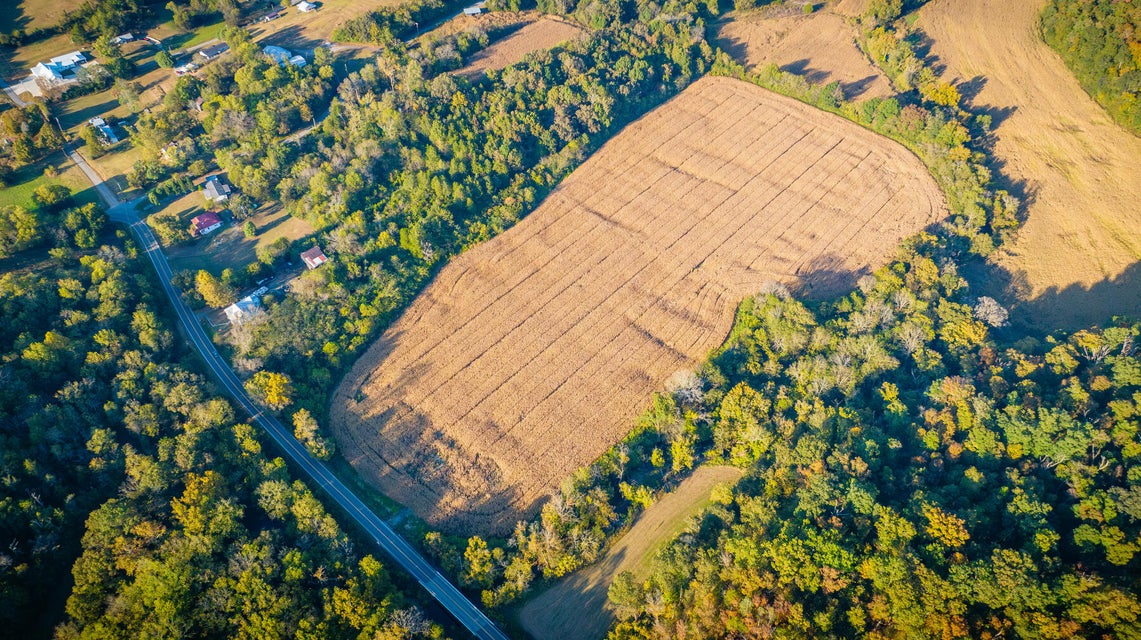 Photo #5: 14460 Warrensburg Road