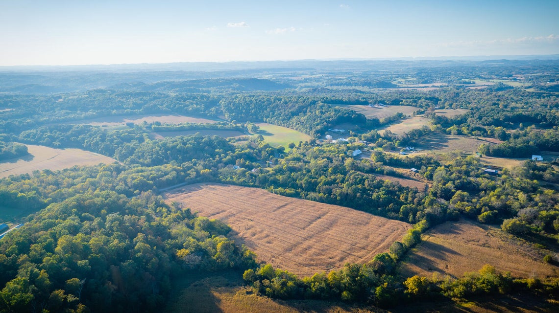 Photo #8: 14460 Warrensburg Road