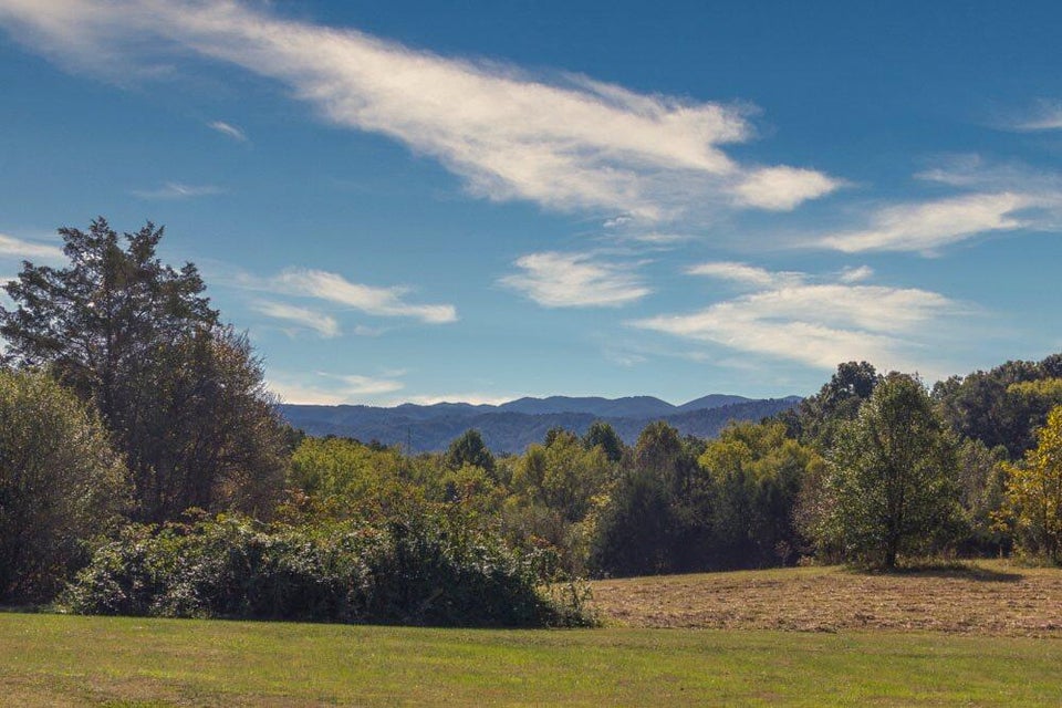 Photo #48: 560 Allens Bridge Road