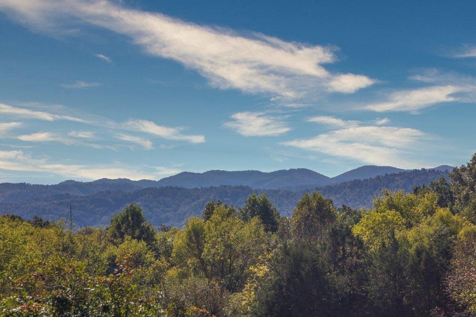 Photo #49: 560 Allens Bridge Road