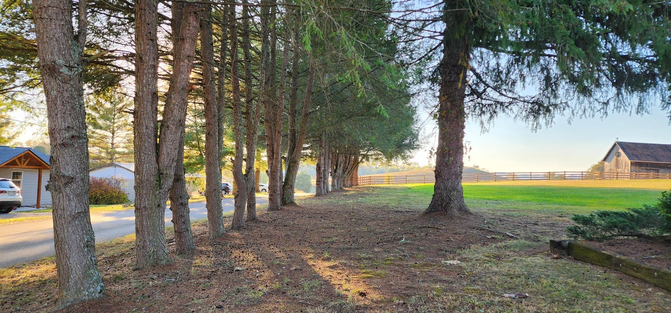 Photo #11: 881 Reeds Valley Road
